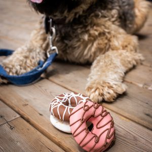 Mini Donuts | Woof it Down