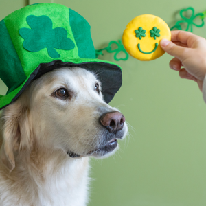 Happy Clover Face | St. Paddy's Day