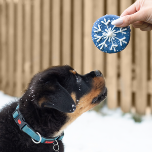 Snowy Circles | Winter Wonderland