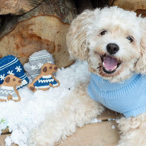 Sweater Pups | Winter Wonderland